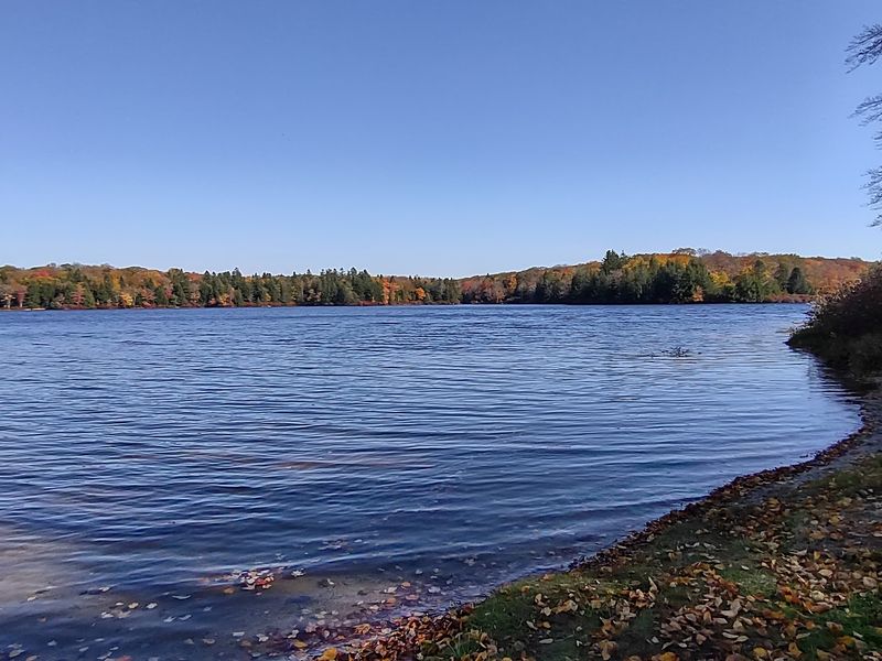 Fishing the Calm Waters