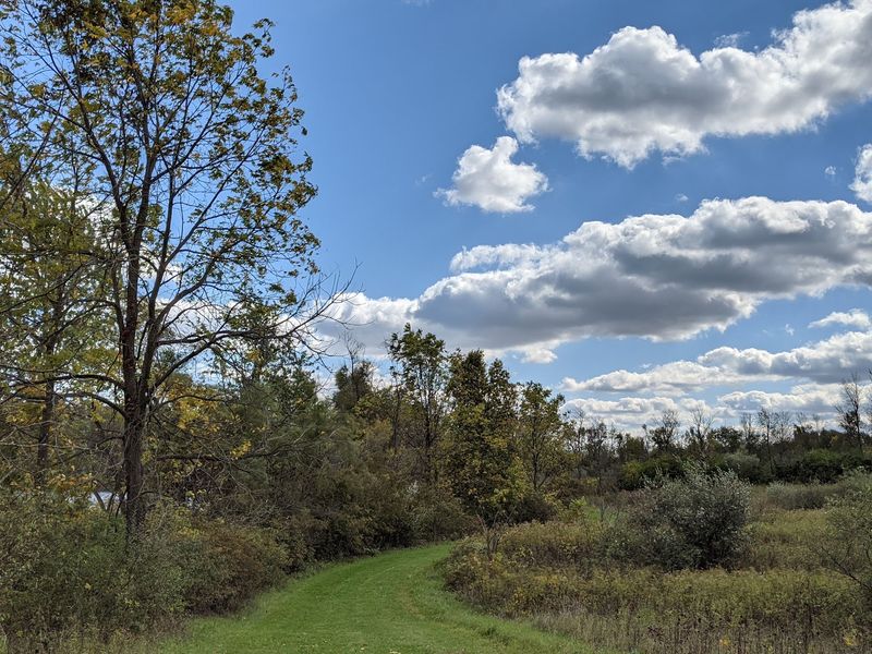 Five Miles Of Easygoing Trails