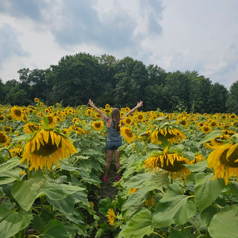 Flower Fields That Turn Heads