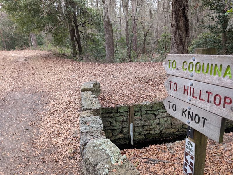 Flowing Singletrack for Mountain Bikers