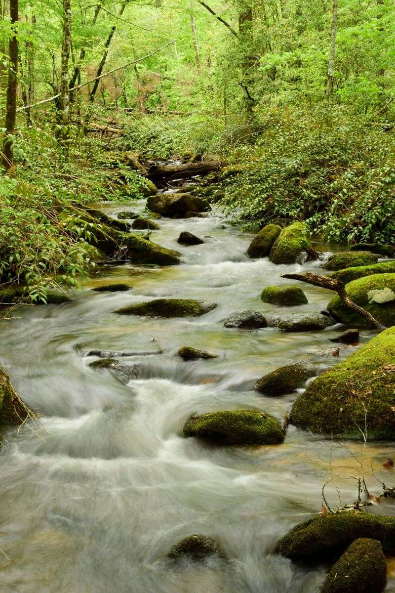Following the Creek to the Falls