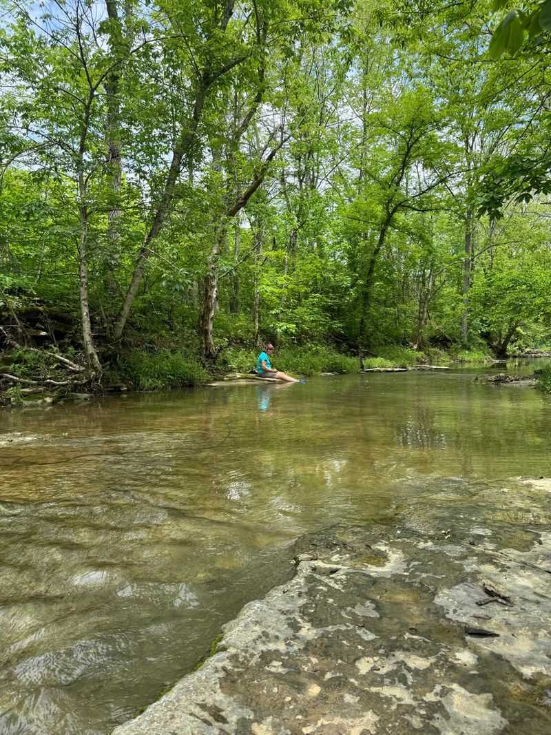 Forest Bathing with Shelly - A Different Kind of Outdoor Experience Forest Bathing with Shelly - A Different Kind of Outdoor Experience