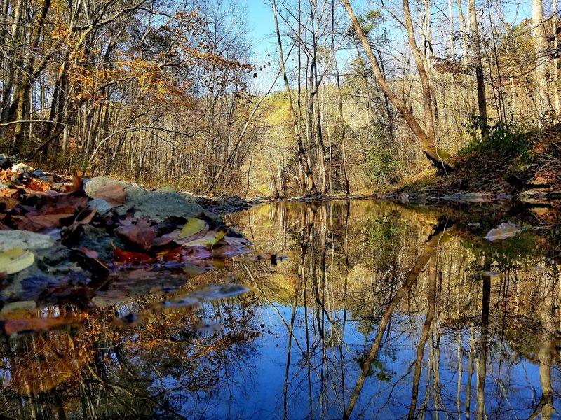 Fossil Hunting Along the Creek Beds on Trail 3