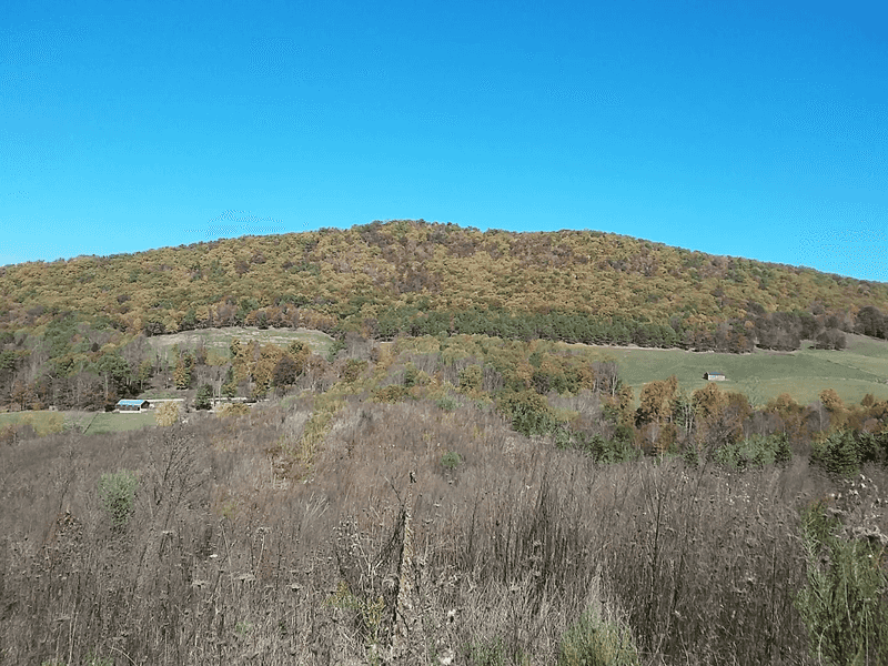 Four Seasons In The Mountains
