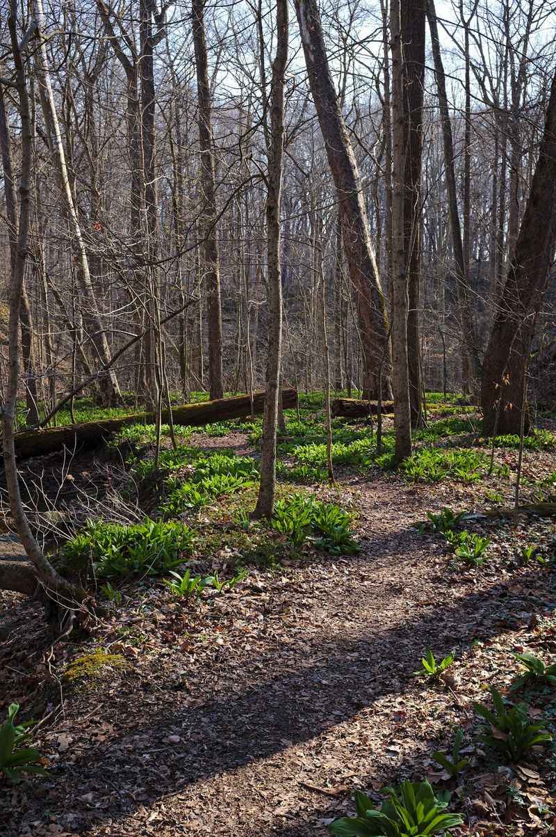 Four Trails, One Standout Loop