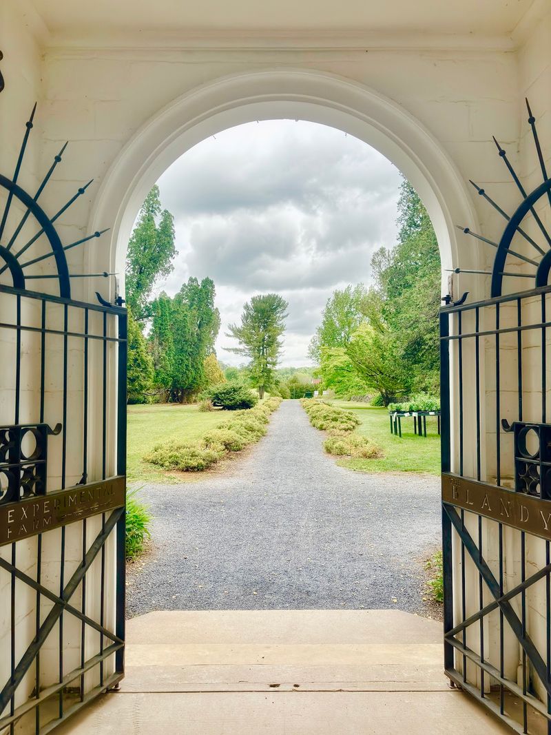 Free Entry and the Mother's Day Plant Sale