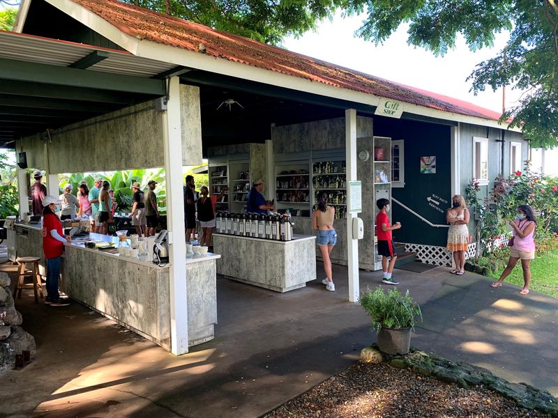 Free Tours With No Reservations Needed