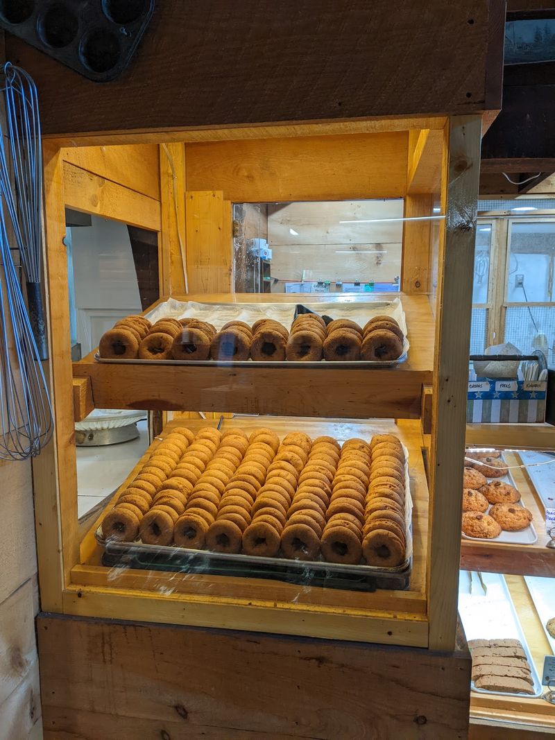 Fresh-Baked Apple Cider Donuts Fresh-Baked Apple Cider Donuts