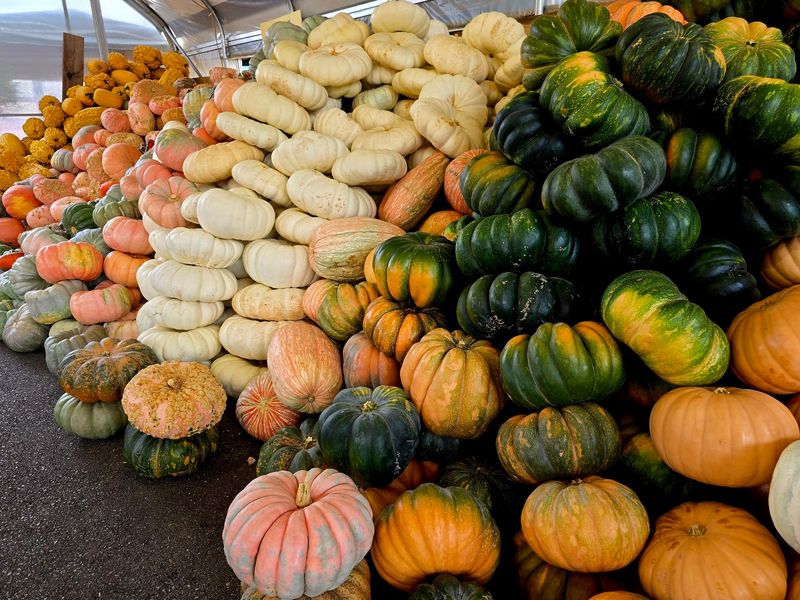 Fresh Produce That Smells Like It Was Just Picked