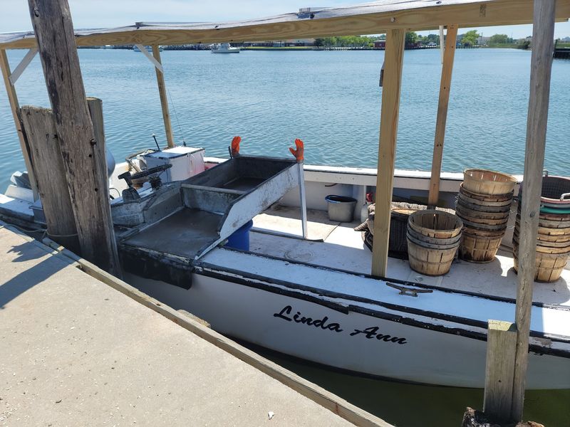 Fresh Seafood Straight From the Docks