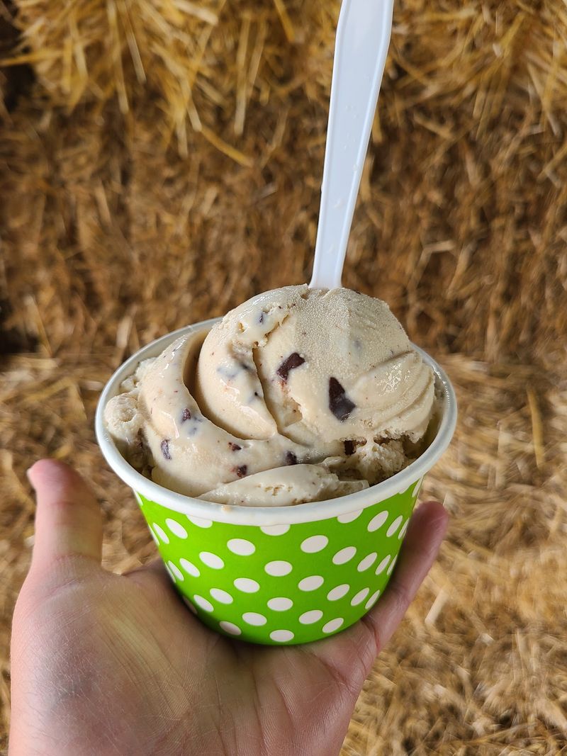 Freshly Made Ice Cream From Cone to Cow