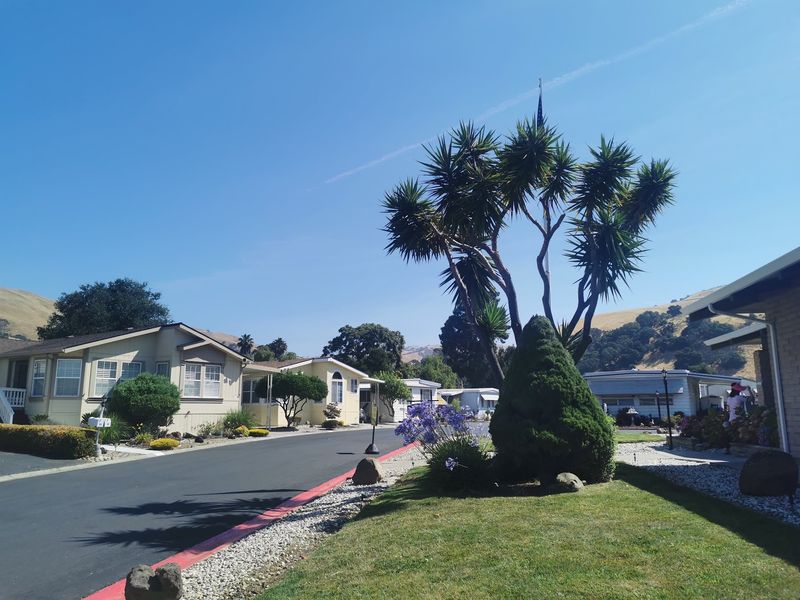 Friendly Neighbors Who Feel Like Family
