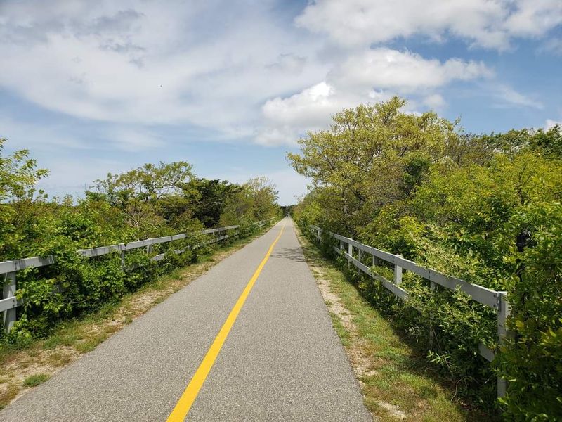 From Train Tracks To Trail