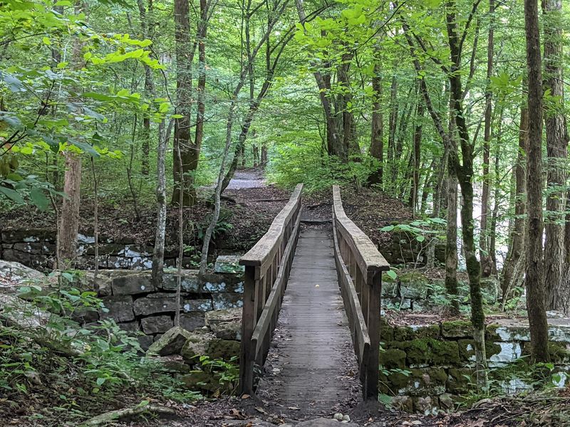 From Working Mine To Protected Wilderness