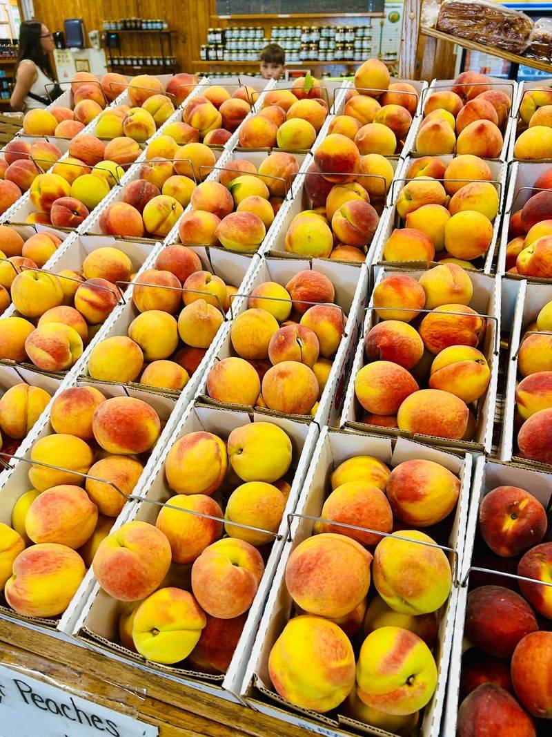 From Working Peach Farm To Beloved Destination