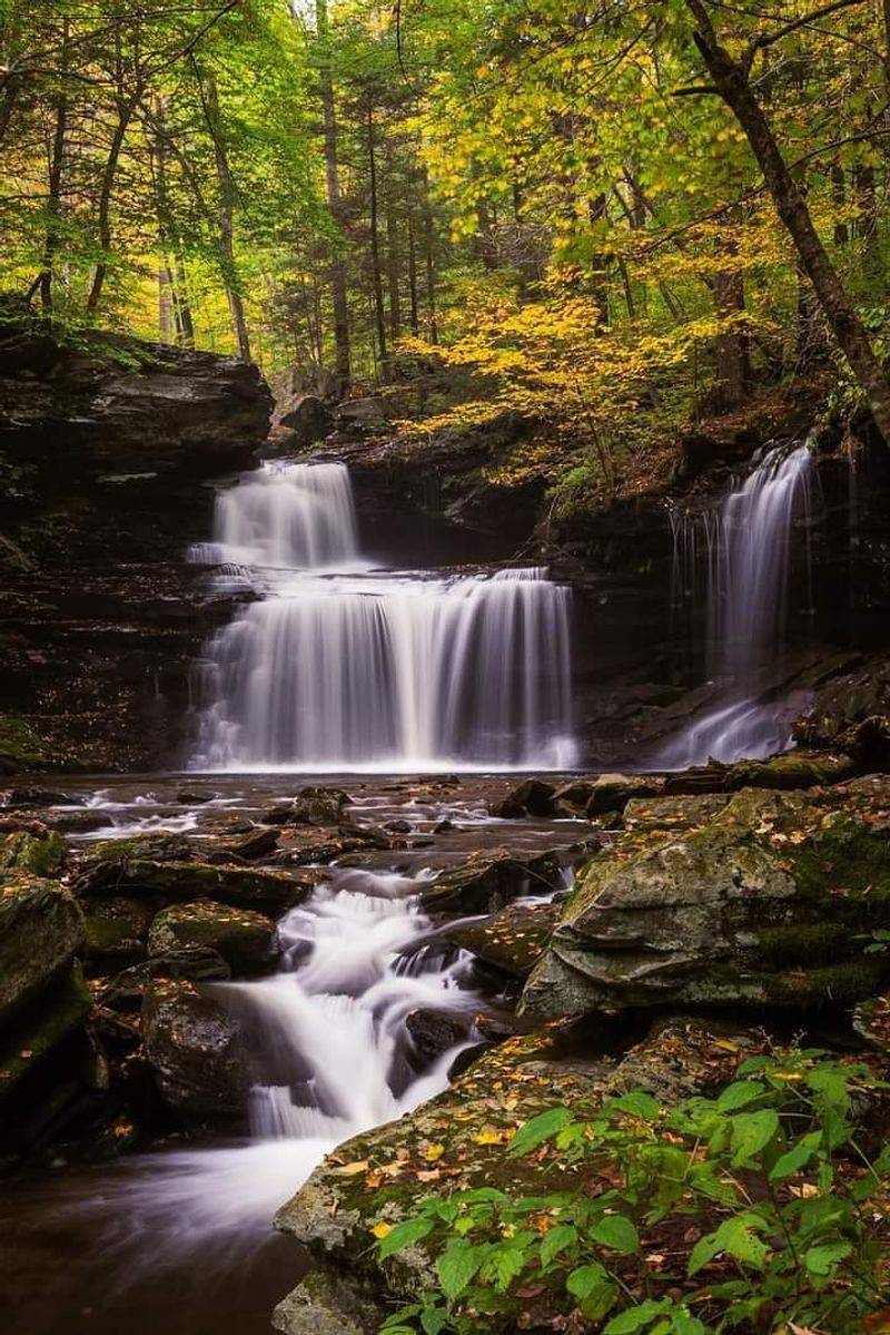Ganoga Falls, The Grand Headliner
