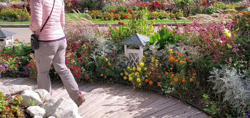 Gardens And A Secret Corner To Discover