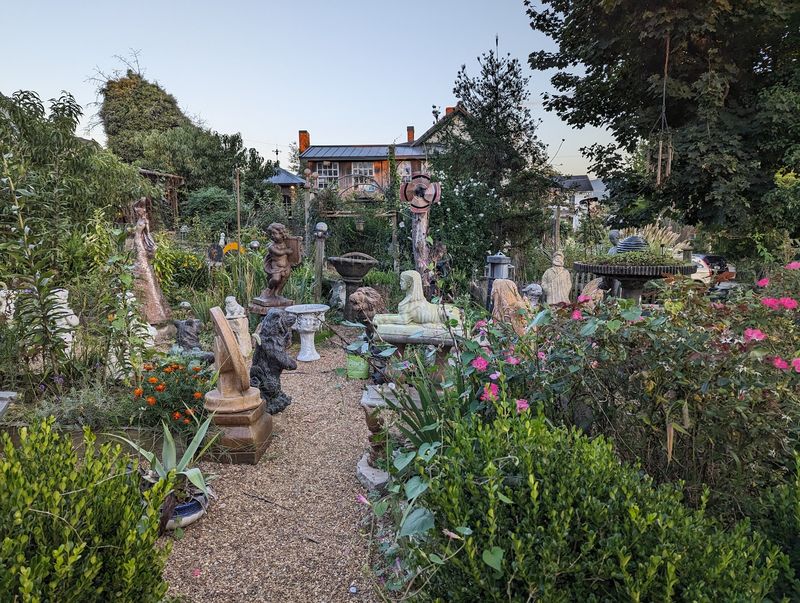 Gardens, Birds, and Backyard Bunnies