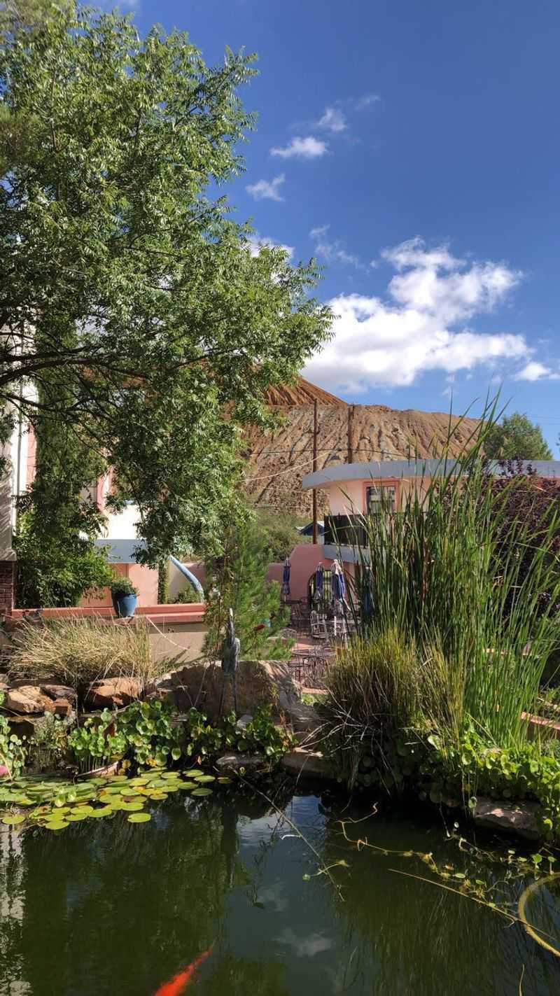 Gardens, Grounds And A Welcome For Pets