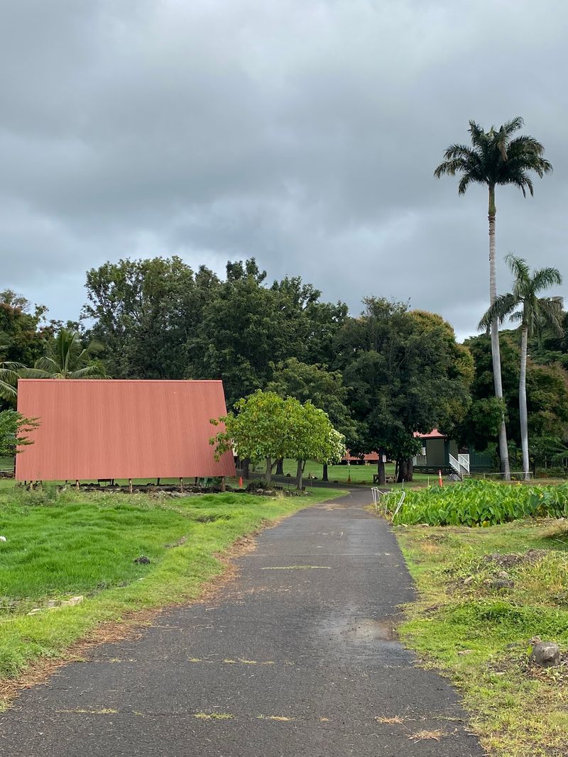 Gardens, Taro, and a Surprise Bird Gardens, Taro, and a Surprise Bird