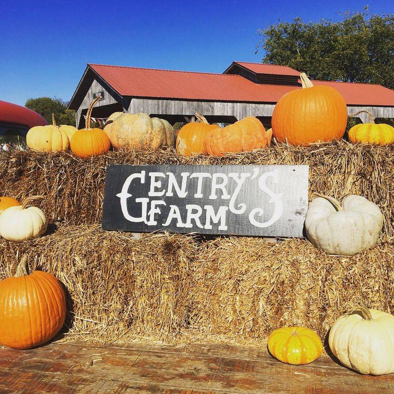 Gentry's Farm, Franklin, Tennessee
