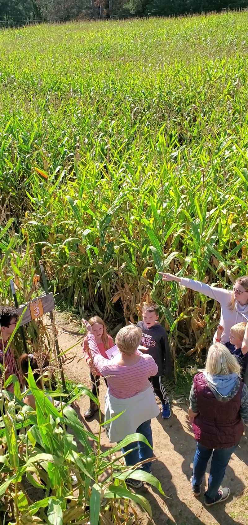 Getting Lost in the Corn Maze