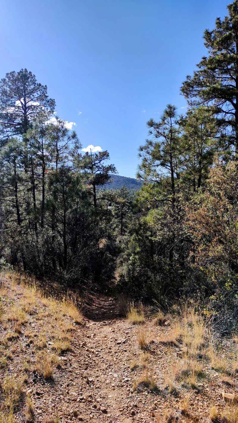 Getting To The Trailhead