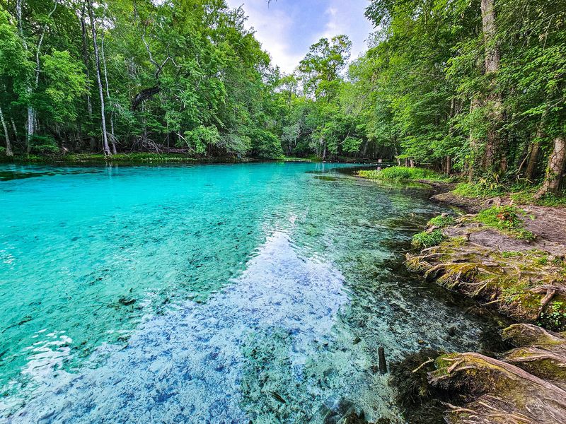 Gilchrist Blue Springs State Park, High Springs