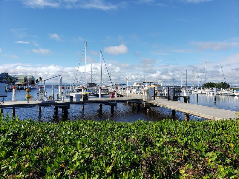 Go Fishing on Charlotte Harbor