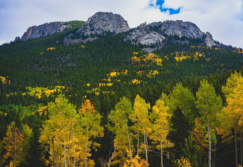 Golden Aspens and the Fall Glow