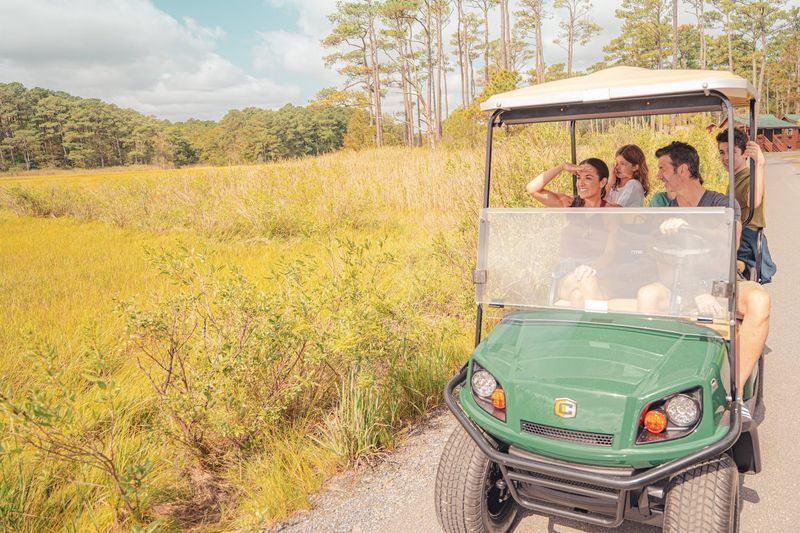 Golf Carts Everywhere You Look
