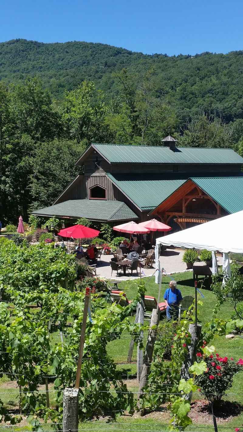 Grandfather Vineyard and Winery, Banner Elk, NC Grandfather Vineyard and Winery, Banner Elk, NC