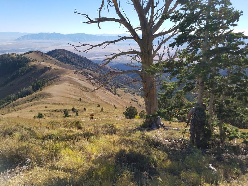 Grantsville
