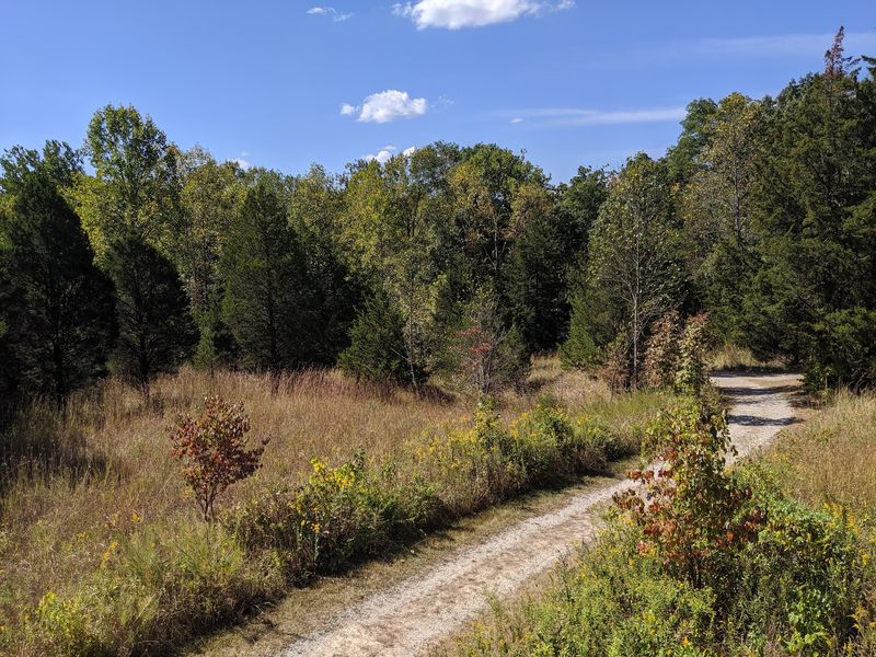Gravel Paths That Beat the Mud