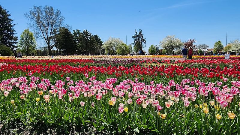 Great Photo Opportunities Around Every Corner of the Garden