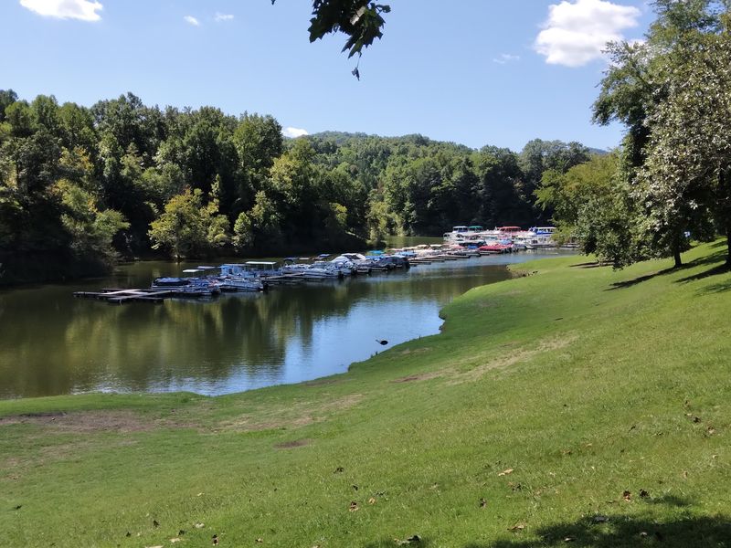 Green Kentucky Scenery All Around