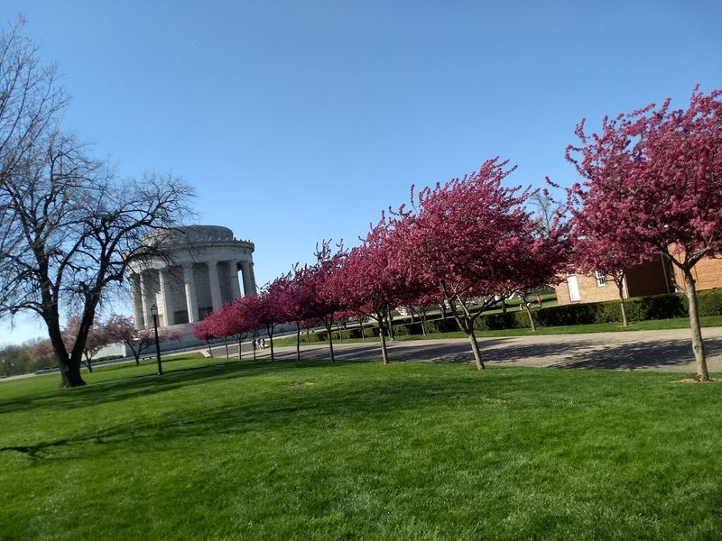 Green Space and Gentle Outdoor Time