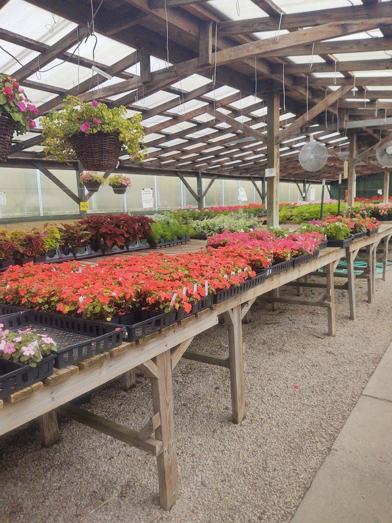 Greenhouses Built Around Different Plant Worlds Greenhouses Built Around Different Plant Worlds