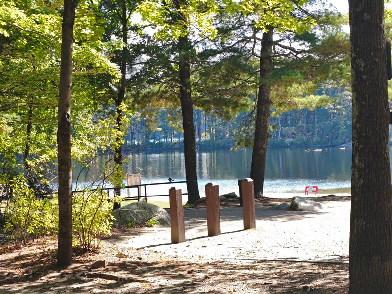 Grills, Picnic Tables, And Cookout Central Grills, Picnic Tables, And Cookout Central