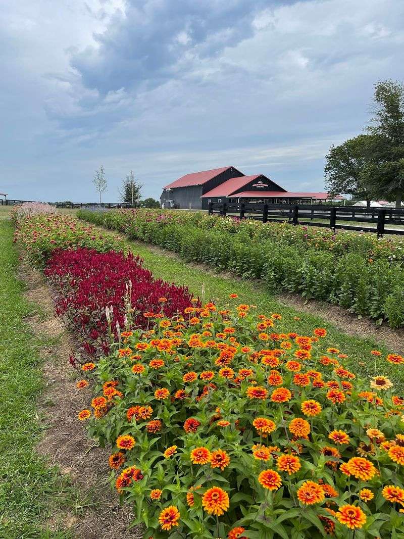 Grounds That Change With Every Season Grounds That Change With Every Season