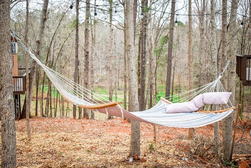 Hammock Relaxation in the Trees
