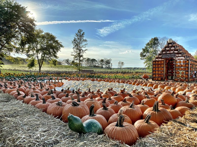 Happy Day Farm, Manalapan, New Jersey Happy Day Farm, Manalapan, New Jersey