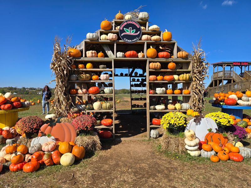 Hay Rides, Corn Maze, And Fall Traditions Hay Rides, Corn Maze, And Fall Traditions