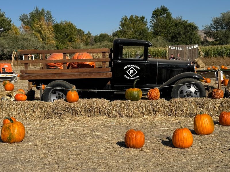 Hay Rides Through The Rows
