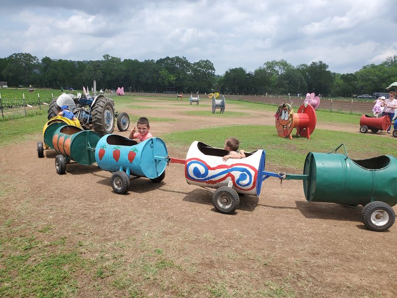 Hayrides, Scarecrows, and Fall Festival Fun Hayrides, Scarecrows, and Fall Festival Fun