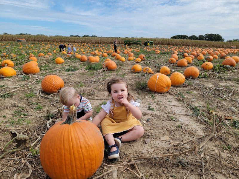 Hayrides and Seasonal Fun
