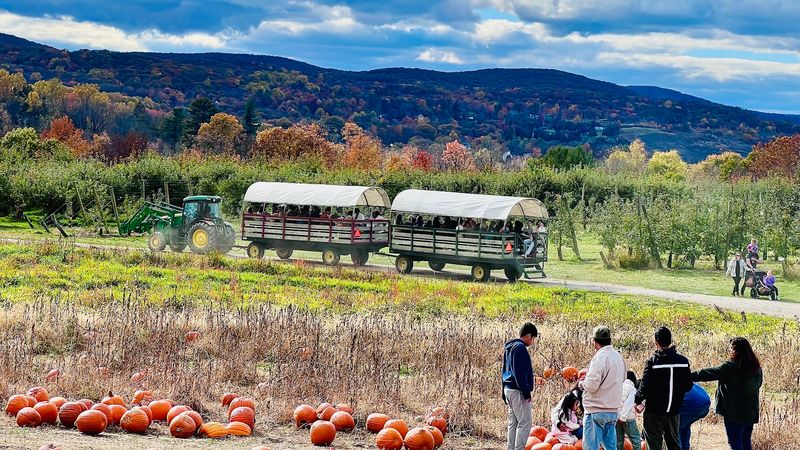 Hayrides and Tractor Trips Across the Property