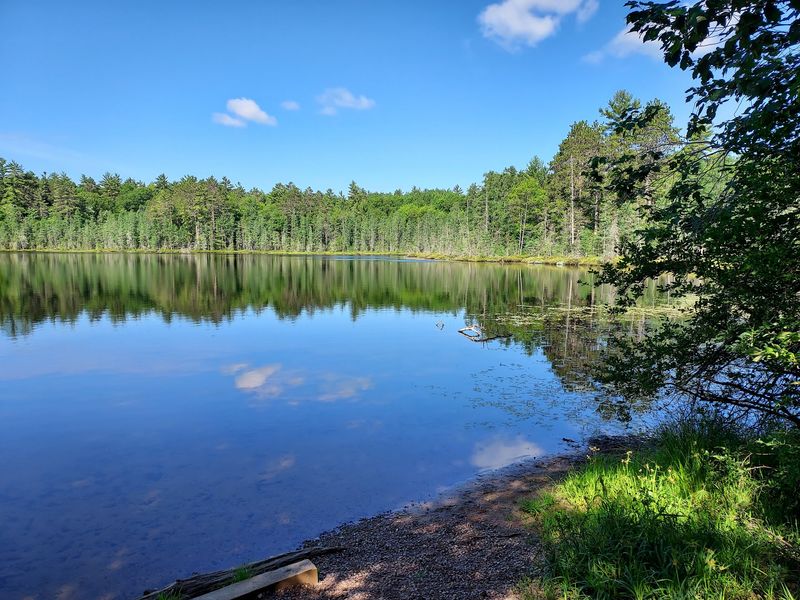 Highway 51 and the Northern Highland-American Legion State Forest, Vilas County Highway 51 and the Northern Highland-American Legion State Forest, Vilas County