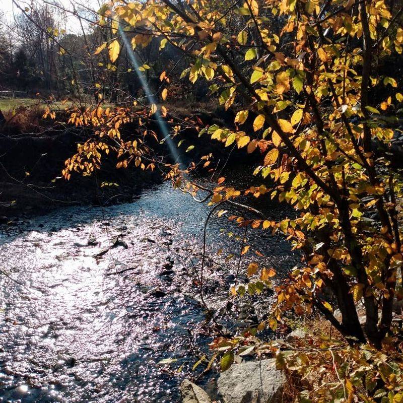 Hiking The Bull Run Trail Nearby
