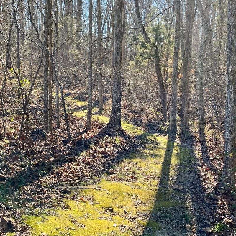 Hiking Trails That Feel Hauntingly Empty